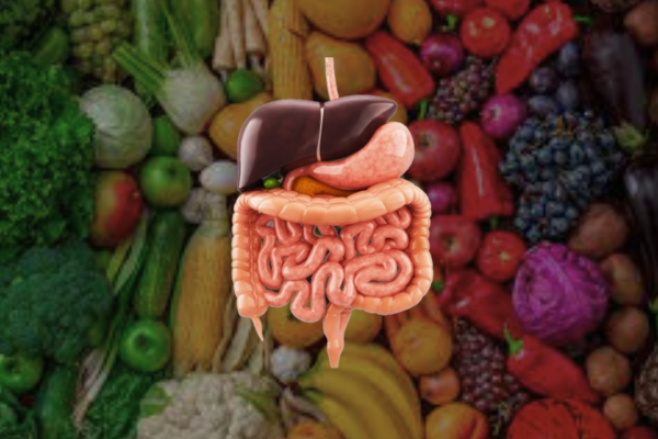 dieta paleo sistema digestivo