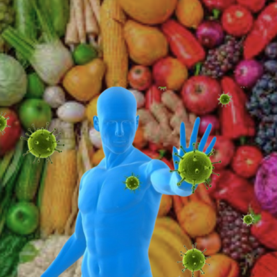dieta paleo sistema imunologico