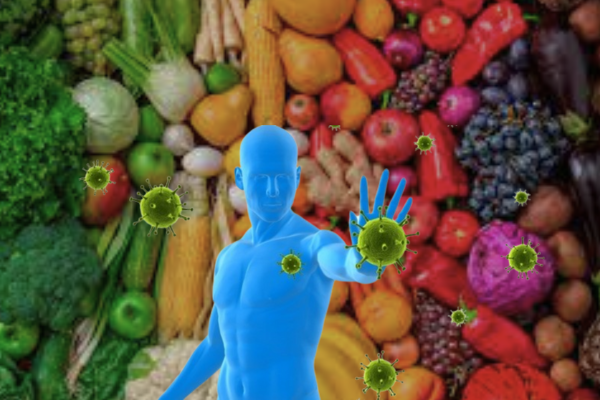 dieta paleo sistema imunologico